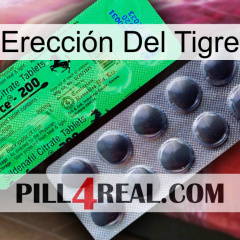 Erección Del Tigre new04